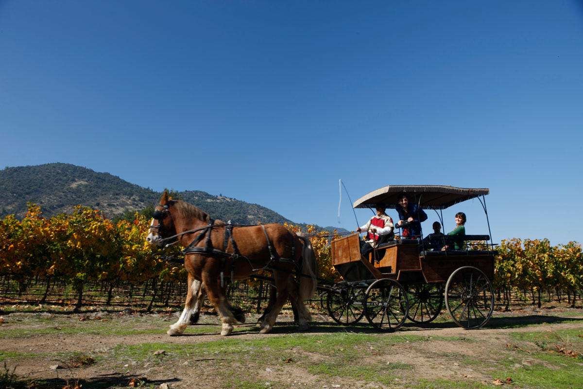 Colchagua Valley (SERNATUR/Chile Tourism)