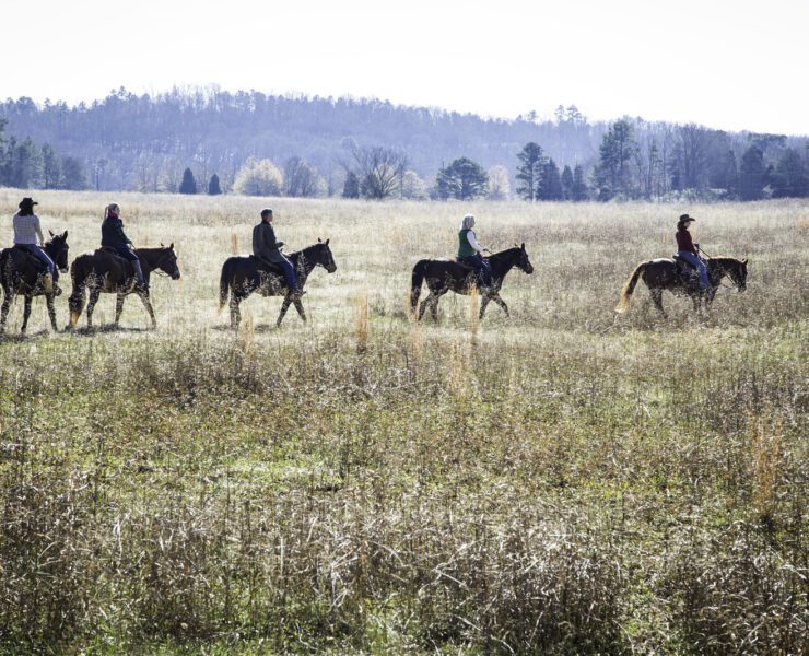 Horsebacking riding at Barnsley Resort in Northern Georgia