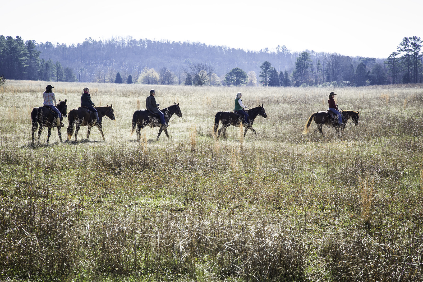 Horsebacking riding at Barnsley Resort in Northern Georgia