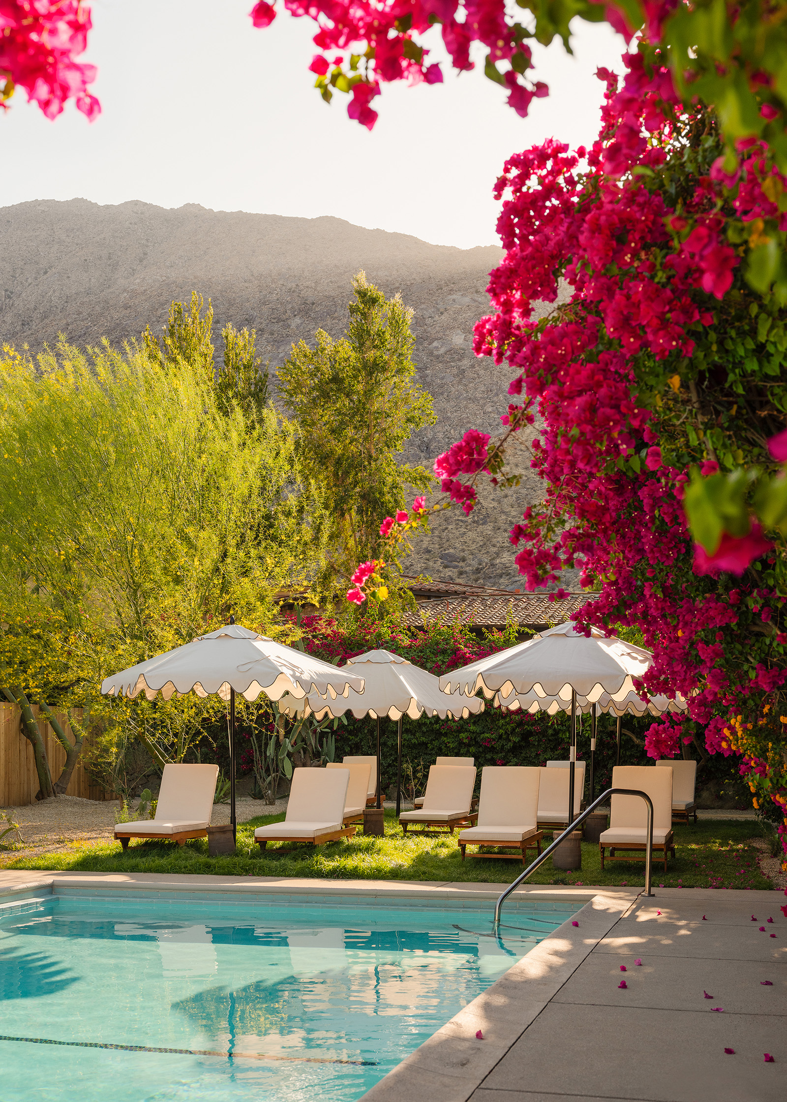 Poolside at Casa Cody (Photo by Lance Gerber)