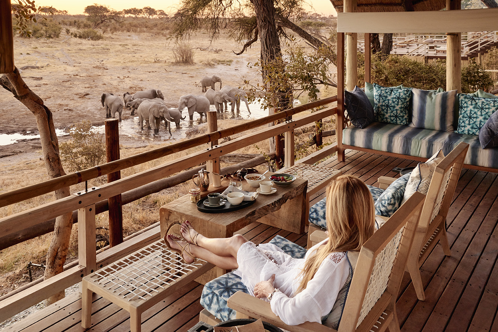 The scene from the viewing hide at Savute