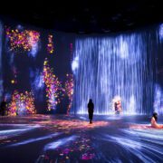 teamLab, Universe of Water Particles, Transcending Boundaries, and Flowers and People, Cannot be Controlled but Live Together -Transcending Boundaries, A Whole Year per Hour 2017. (Courtesy Pace Gallery)