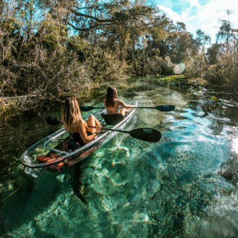 Florida Happenings: Explore & Unwind