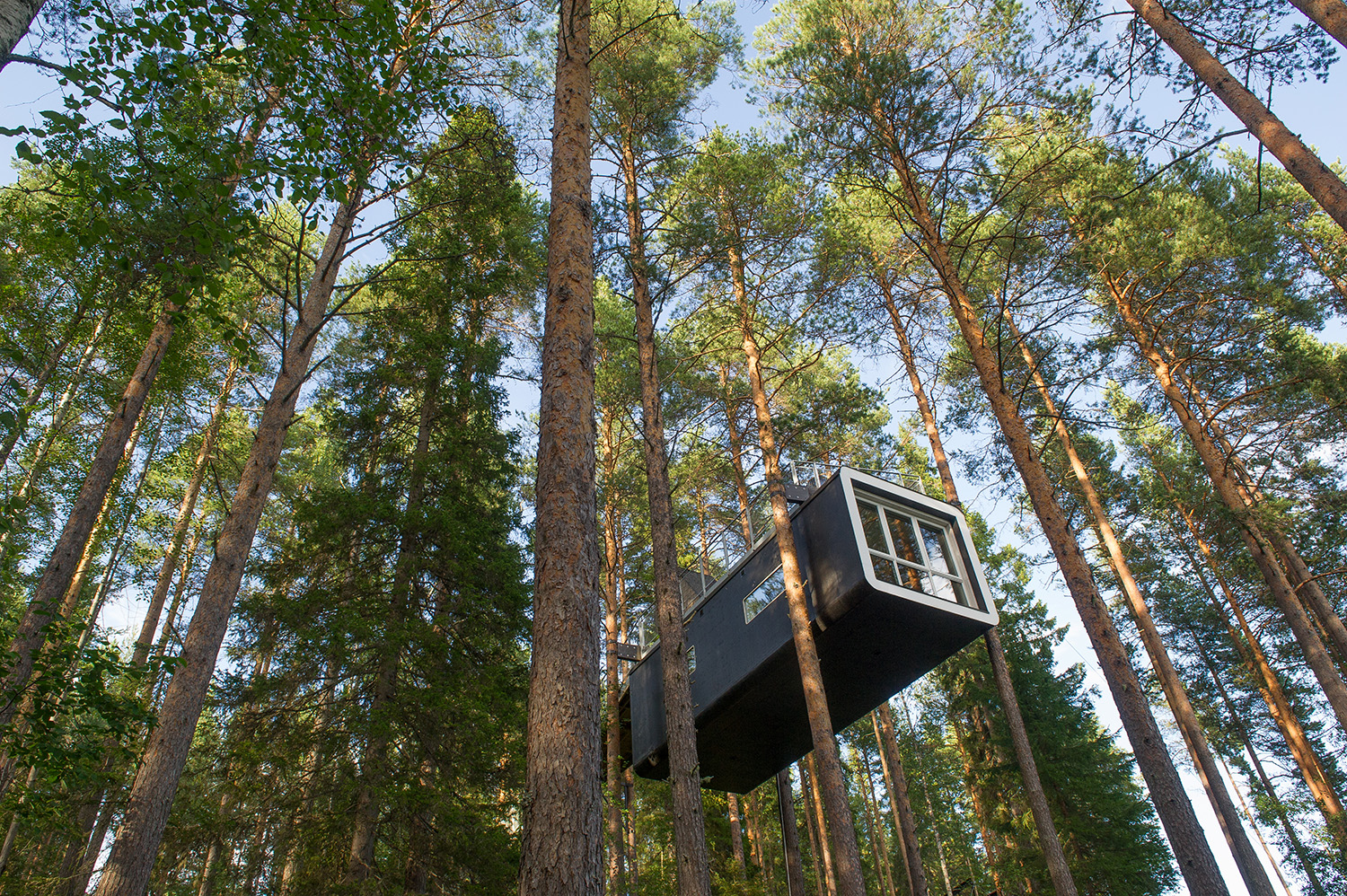 The Cabin at Treehotel, Sweden Photo by O.C Ritz/Shutterstock