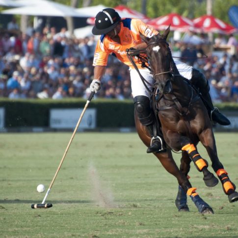 * As Featured in 2023 Bucket List Edition: Polo & Equestrian