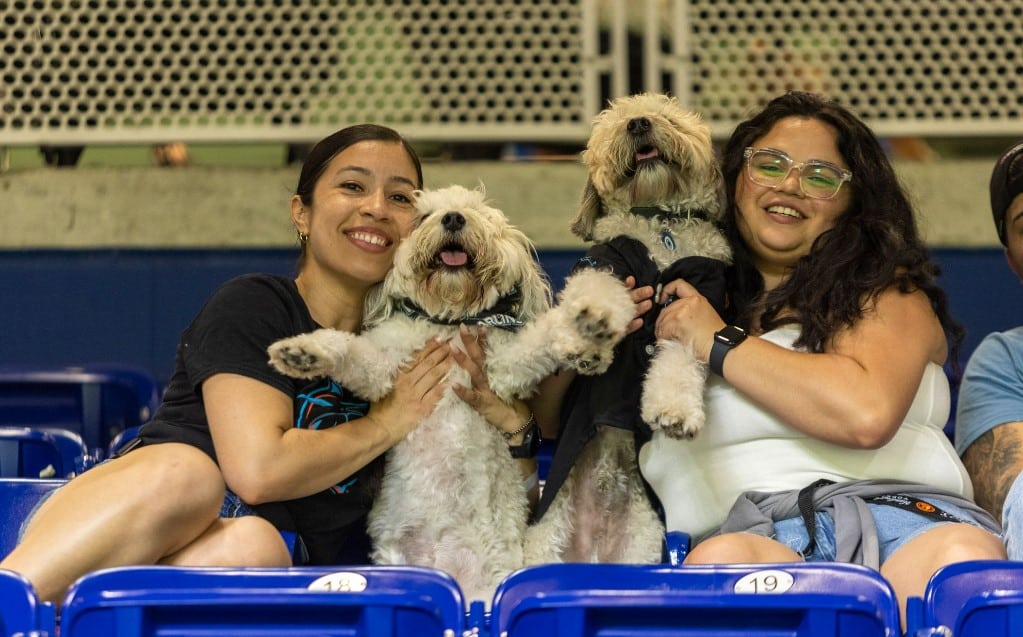 Dogs take center stage at Bark in the Park 