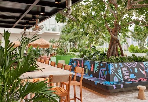 Higher Ground - A Hidden Oasis in the Heart of Wynwood