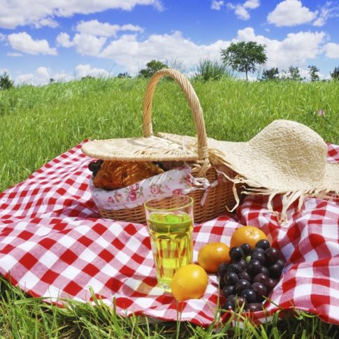Summer is Here!  Check out these Hot Spots to Create the Perfect Picnic!