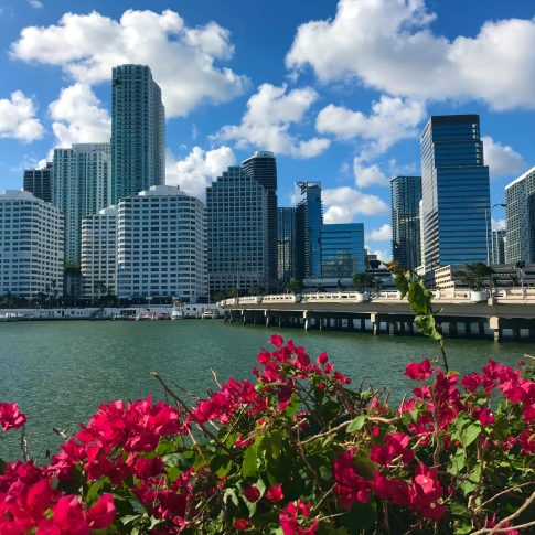 North Miami Beach Guide