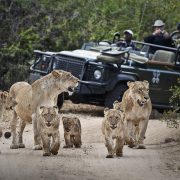 Ker & Downey® Africa Luxury Travel Experience