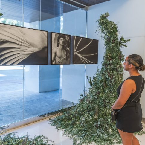 David Gary Lloyd Debuts “Garden Shadows of the Sun” Pop-Up Exhibition at 255 Alhambra