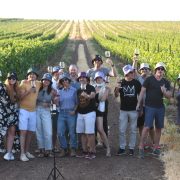 Discover Israeli Wine for Hanukkah and the Holiday Table