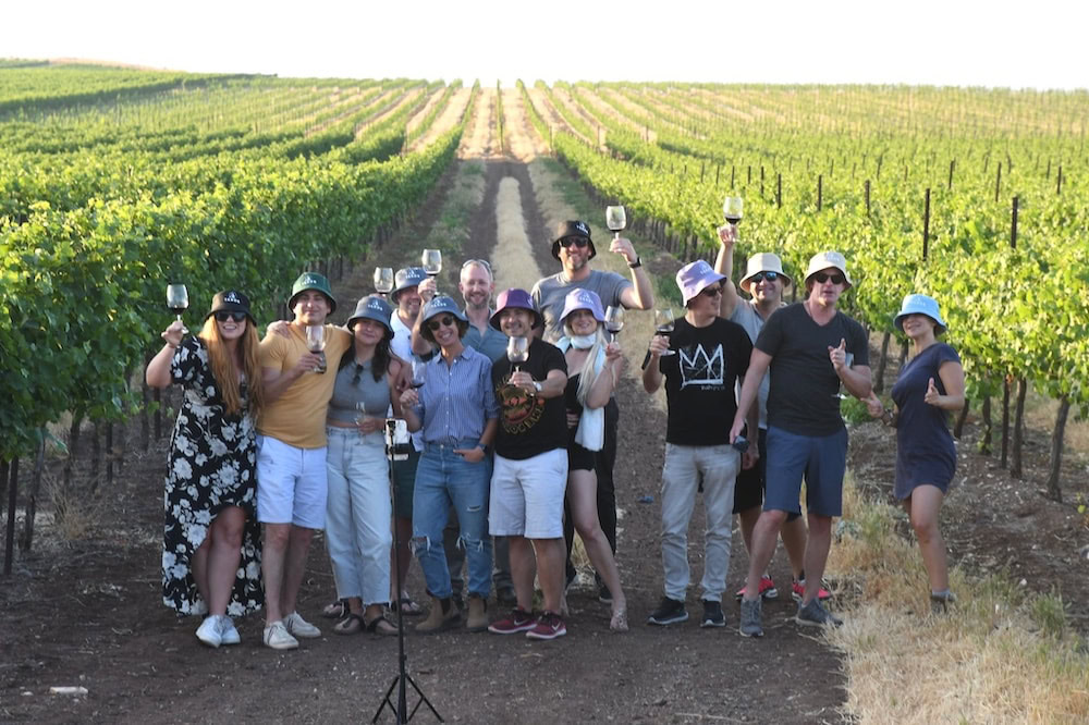 Discover Israeli Wine for Hanukkah and the Holiday Table