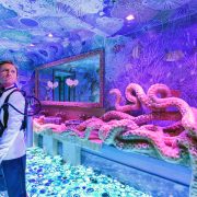 KHaydenMBDSSexyFishMiamiMensRoom2