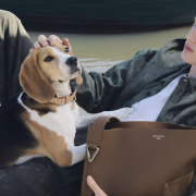 Man relaxing outdoors with a beagle and Louis Vuitton LV Touch brown leather bag.