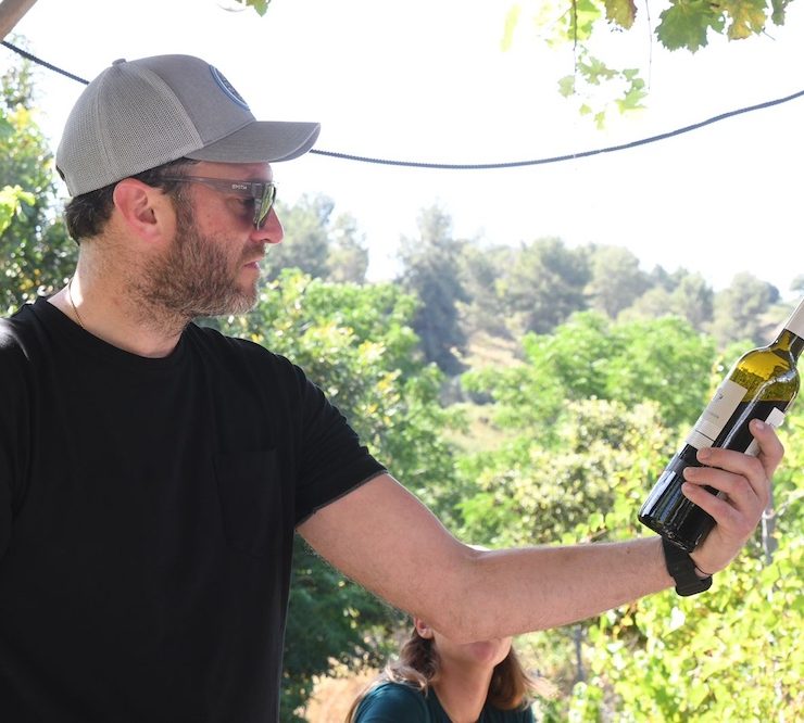 Discover Israeli Wine for Hanukkah and the Holiday Table