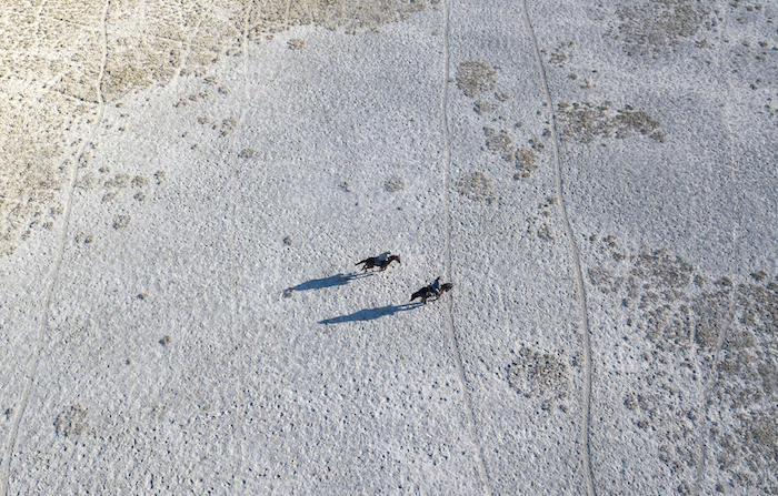 horseback riding on salt pans in botswana with jacks camp