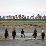 horseback riding safari at jacks camp botswana