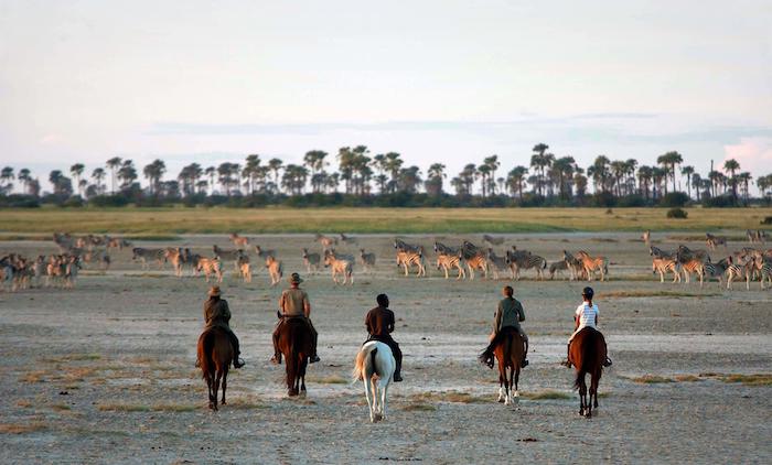 horseback riding safari at jacks camp botswana
