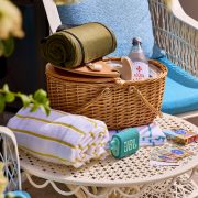 Valentine’s Day 2026 Romantic Retreats. Hotel continental picnic package