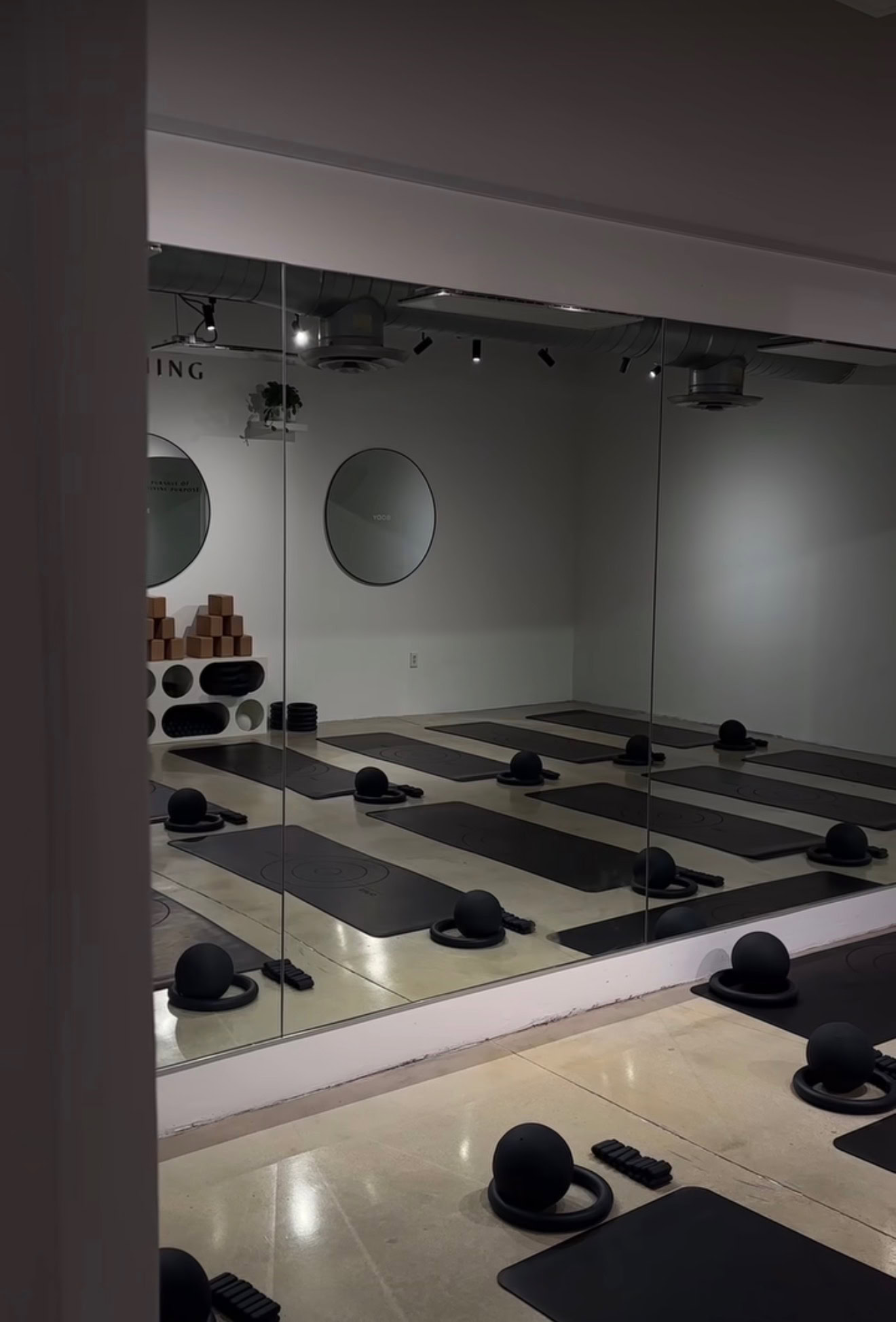 Palmi + Sano Wellness