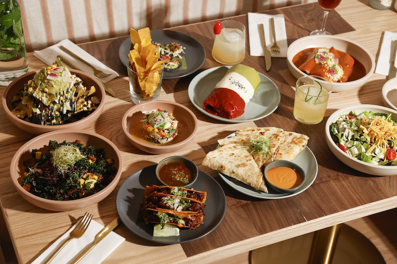 Delicious spread of plant-based dishes served at Jajaja Mexicana
