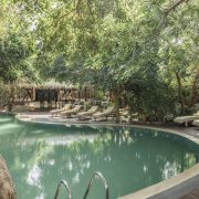 1 uga jungle beach pool 2