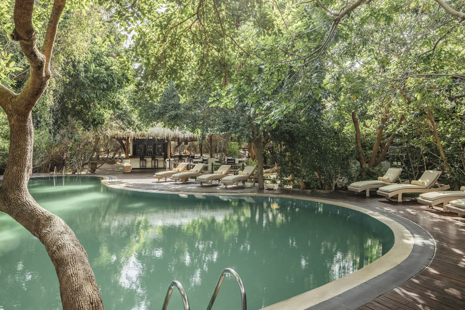 1 uga jungle beach pool 2