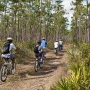bike tour ecoadventures everglades provided by the greater miami convention visitors bureau www.miamiandmiamibeach.com