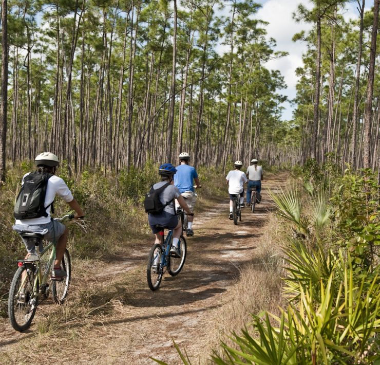 bike tour ecoadventures everglades provided by the greater miami convention visitors bureau www.miamiandmiamibeach.com
