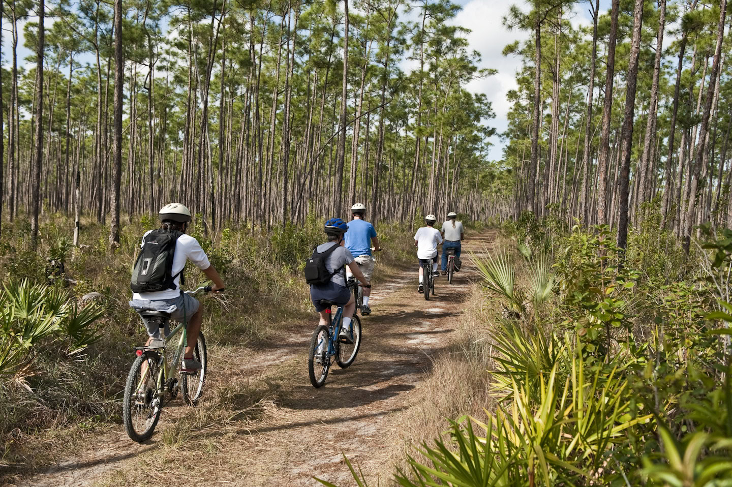 bike tour ecoadventures everglades provided by the greater miami convention visitors bureau www.miamiandmiamibeach.com