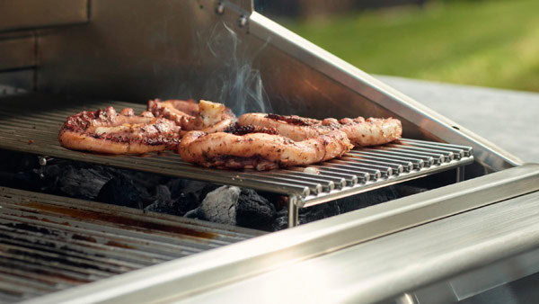 fuse appliances bbq