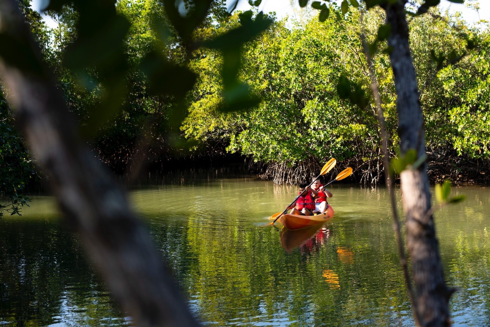 kayaking duo oleta river state park north miami provided by the greater miami convention visitors bureau www.miamiandmiamibeach.com