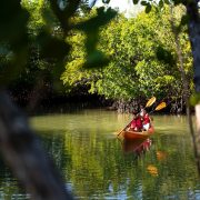 kayaking duo oleta river state park north miami provided by the greater miami convention visitors bureau www.miamiandmiamibeach.com