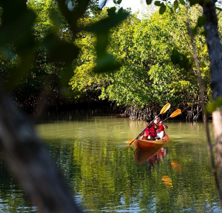 kayaking duo oleta river state park north miami provided by the greater miami convention visitors bureau www.miamiandmiamibeach.com
