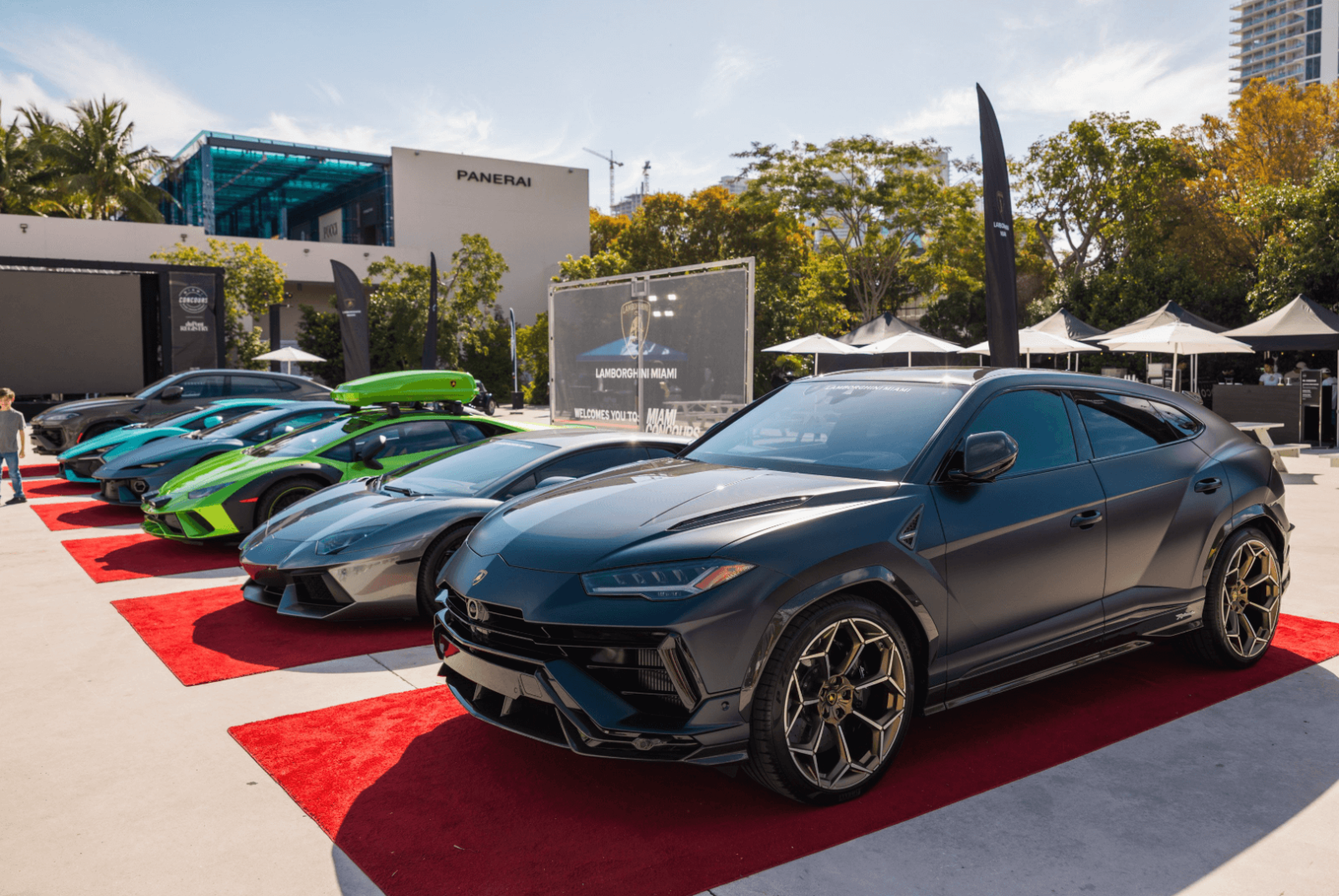 miami concours 5