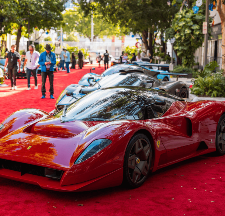 miami concours 6