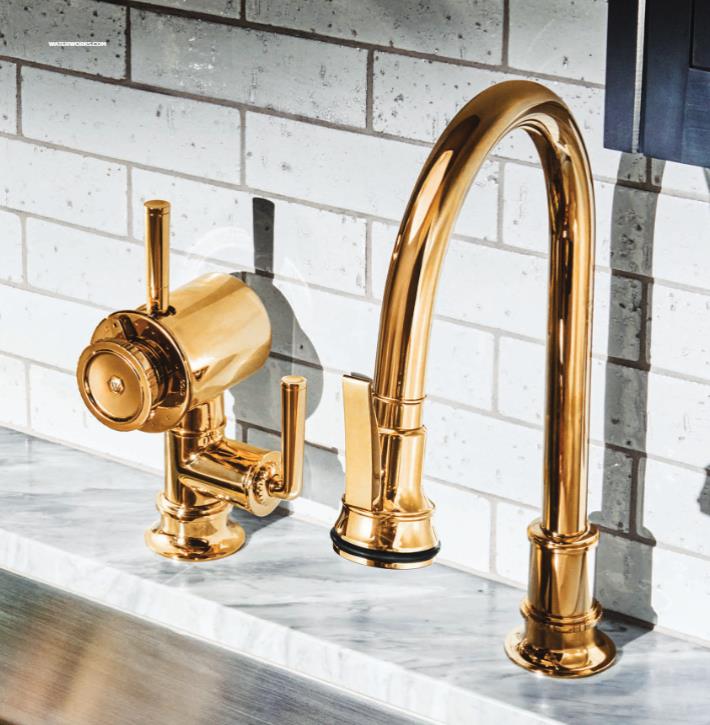 Waterworks kitchen gold faucet