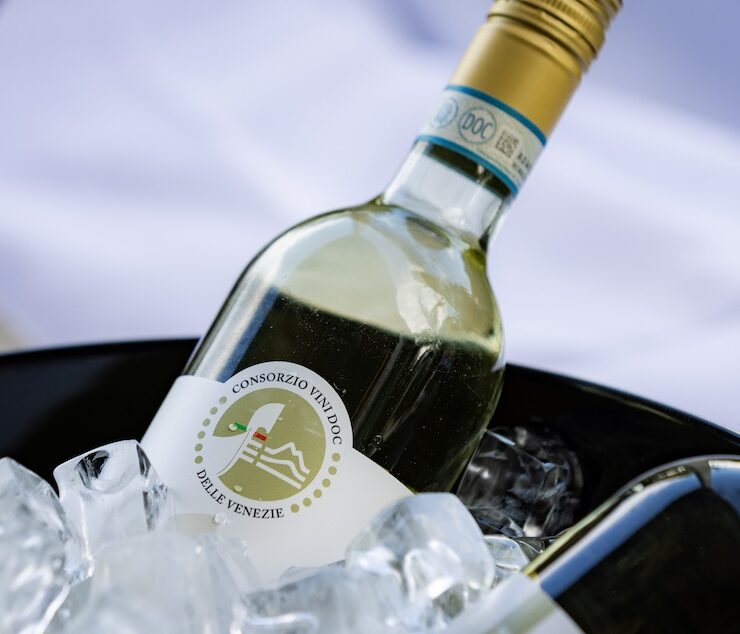 12 pinot grigio doc delle venezie bottle shot