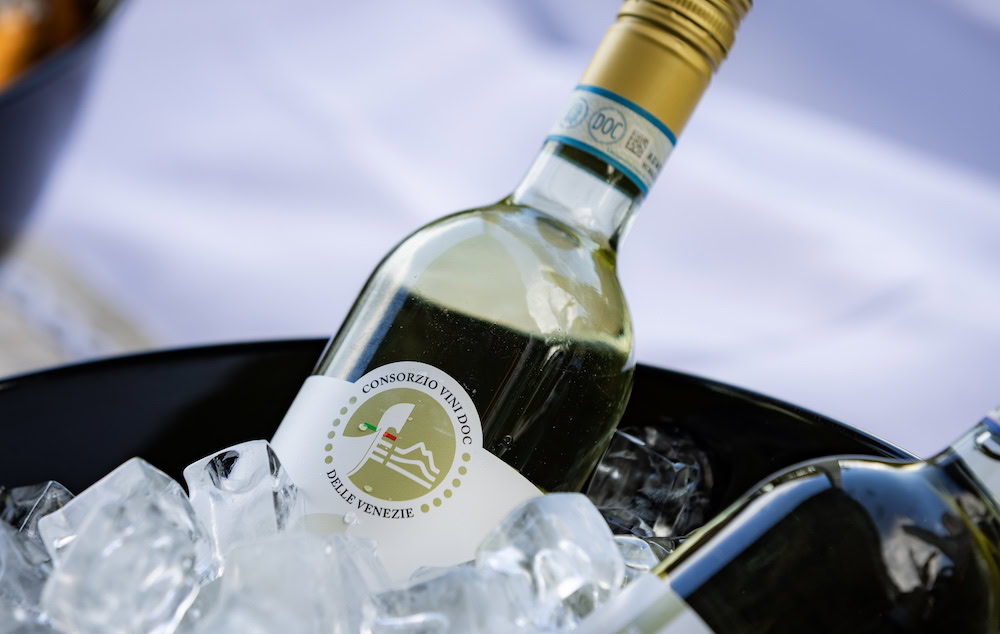 12 pinot grigio doc delle venezie bottle shot