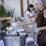 13 serving pinot grigio doc delle venezie to guest