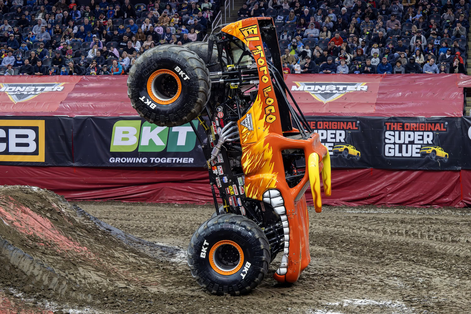 el toro loco 25 003 arena