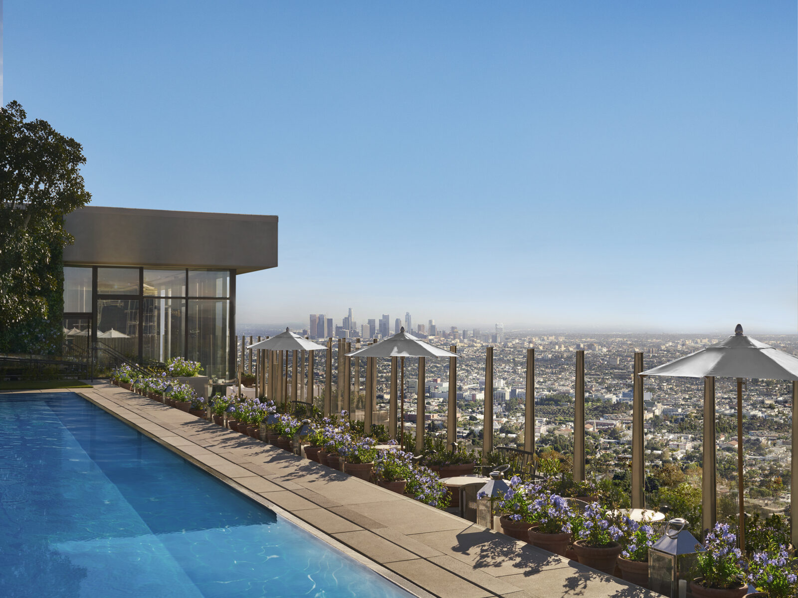 the west hollywood edition the pool