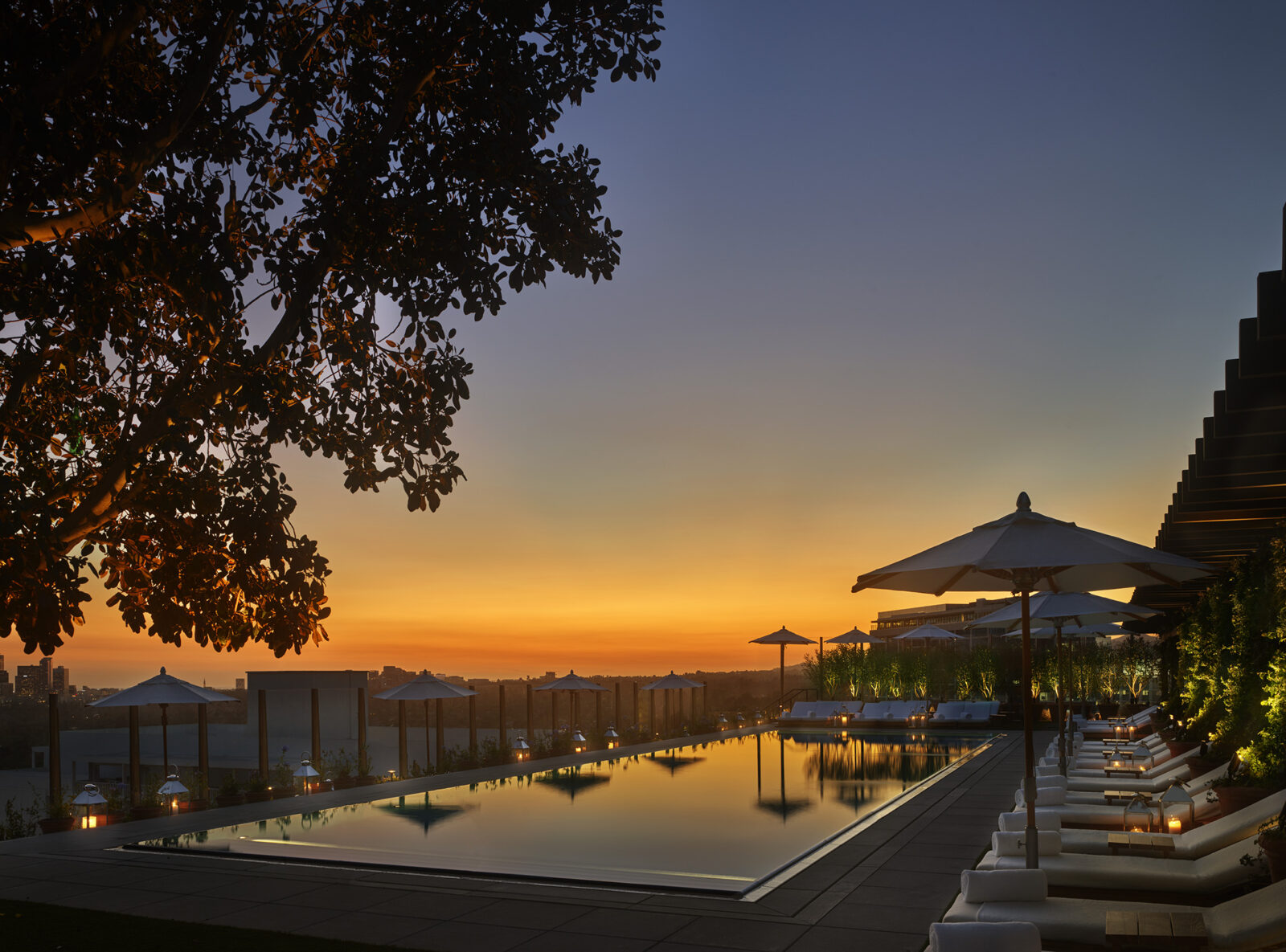 the west hollywood edition the pool 2