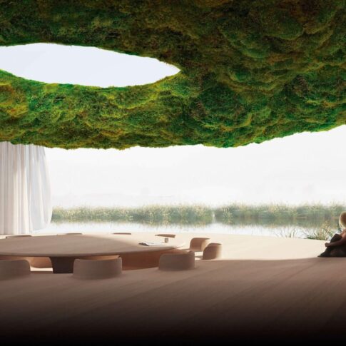 Sculptural moss ceiling installation in a serene, nature-inspired modern interior